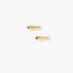 Sardine Stud Earrings